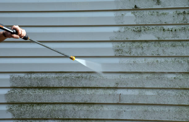 Best Concrete Pressure Washing  in Rayville, LA
