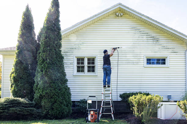 Best Roof Pressure Washing  in Rayville, LA