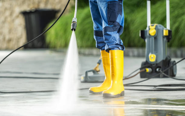 Best House Pressure Washing  in Rayville, LA