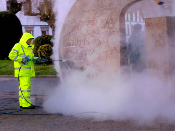 Best Best Pressure Washing Companies  in Rayville, LA