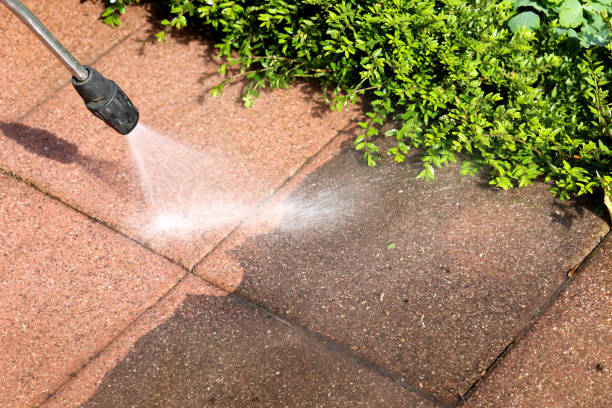 Professional Pressure Washing in Rayville, LA