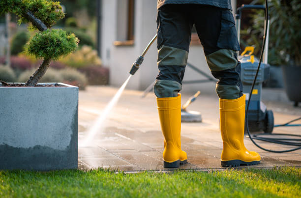 Best Pressure Washing Near Me  in Rayville, LA